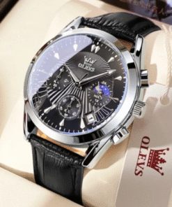 OLEVS 2876 Men's Watch