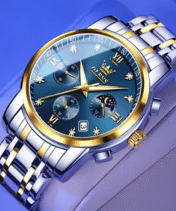 OLEVS 2858 Men's watch